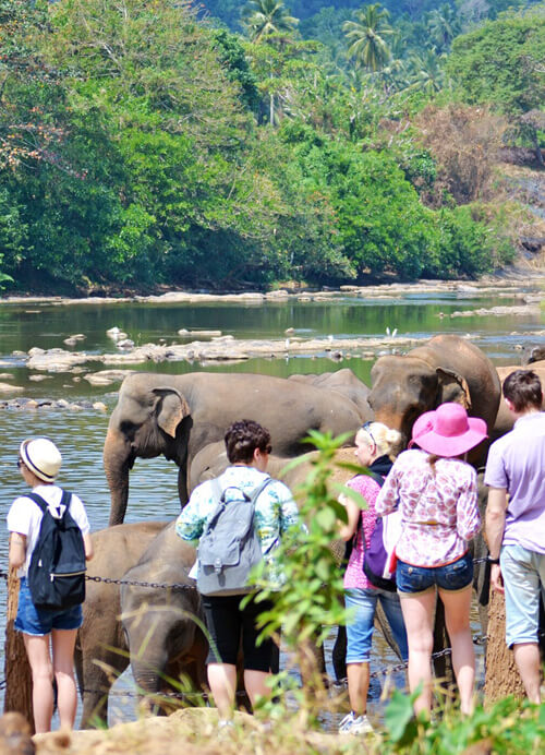 Tailor Made Tours Sri Lanka